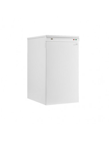 Baxi Gavina Plus ECO GT 20